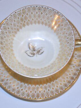 Vintage Winterling Roslau Bavaria Porcelain Footed Cup & Saucer